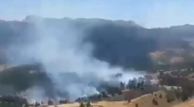 Adana ve Muğla’da orman yangını: Havadan ve karadan müdahale ediliyor